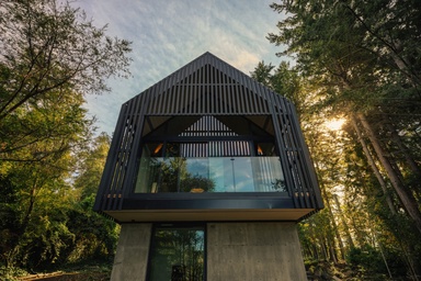 Little Giant Designs Its Own Forest Studio Around Light, Quiet, and Exploration