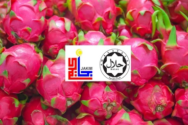 Paediatrician stunned dragon fruit labelled non-halal; seeks Muslim goodwill to educate brethren