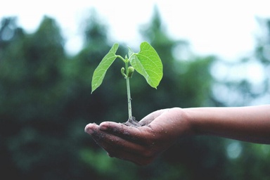 It’s time to grow chemicals for our future