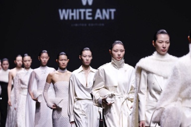 Thread Talk with Bach Cao Cuong, Founder of WHITE ANT