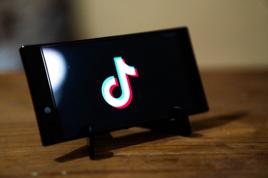TikTok Downloader: saving today’s short videos as tomorrow’s human history
