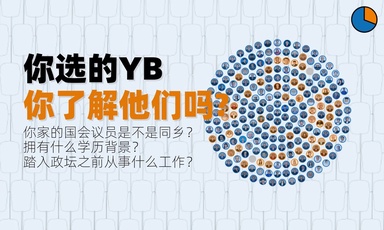 你选的YB 你有多了解他们?