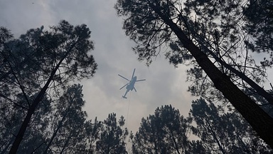 Wildfires: Var department once again facing the flames