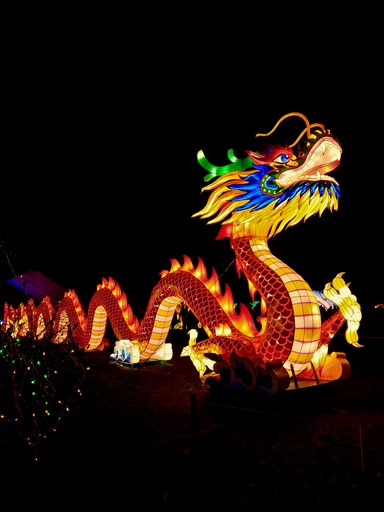 What Malaysians Really Think About Chinese New Year (According to Everyone Except the Lion Dance)