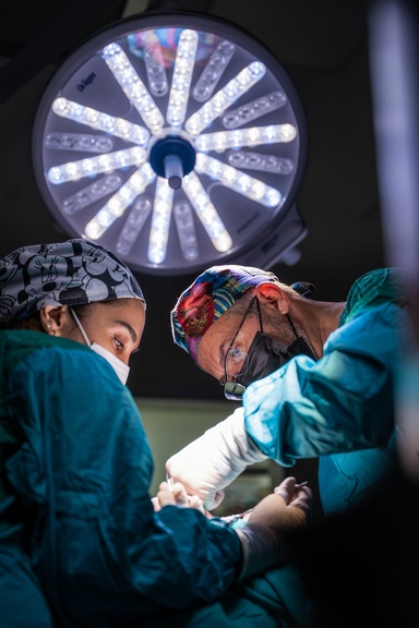 Surgeon and Surgeries
