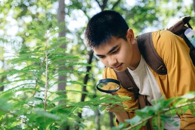 Eco-literate children can be stewards of nature – here’s how to boost environmental education