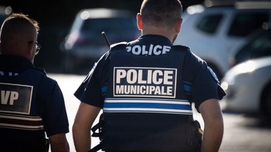 Police find dog locked in car overnight: the owner's explanation is baffling