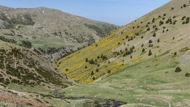 Dans les Pyrénées, ces mines romaines datant d’il y a 1700 ans viennent d’être dévoilées par les chercheurs