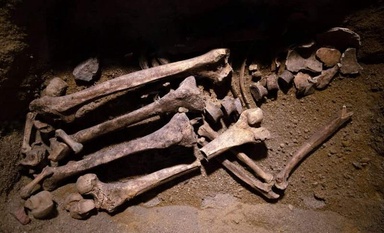 For Decades, Scientists Believed These Ancient Fossils Found in Japan Were Human, But They Are Not