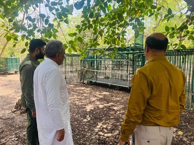 Gujarat Forest and Environment Minister visits Gir forests, reviews infection situation among Asiatic lions