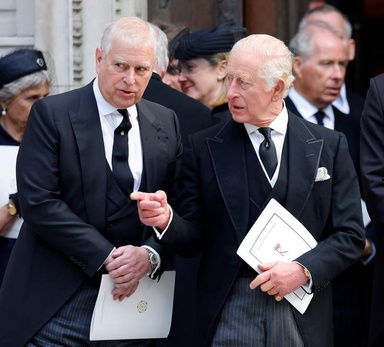 Trespasser who broke into Parliament claims he was 'visiting Prince Andrew and Prince Charles'