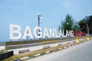 Kelibat buaya dilihat di Pantai Bagan Lalang, orang ramai dinasihatkan berwaspada