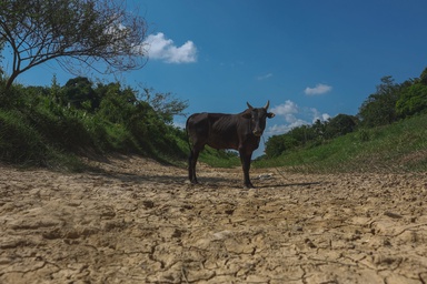 气象局：半岛10地区处一级高温