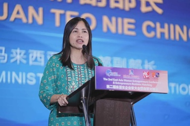 行动党柔州主席进行最有利布阵  张念群：若让玛丽娜委屈感遗憾