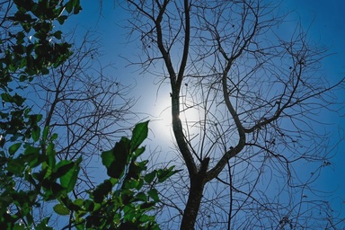 10 kawasan di Perlis, Kedah, Kelantan catat cuaca panas Tahap 1