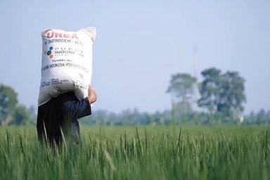 Pendataan e-RDKK 2027 Dibuka hingga 25 Oktober, Kementan Pastikan Pupuk Bersubsidi Tepat Sasaran