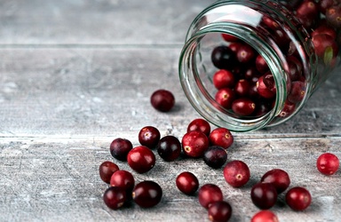 Cranberry Juice May Strengthen Antibiotic Action Against Urinary Tract Infection