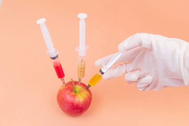 It’s Not Just What’s in Ultra-Processed Foods — It’s How They’re Made