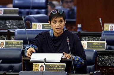 State political alliances do not alter federal pact, says Azalina