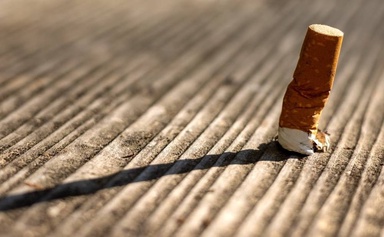 Man jailed one month for tossing cigarette butt in Johor Bahru