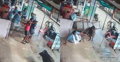 Suasana Cemas, Babi Hutan ‘Serbu’ Gerai Teh Hingga Cederakan Seorang Penduduk