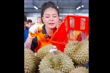 Influencer Pimrypie takes B10m loss on durian sales