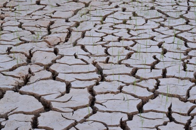 Thailand prepares for El Niño impact on water