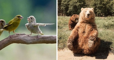 106 Photos That Look Like They’re Fake But People Actually Took Them