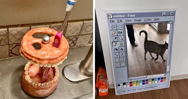 97 Online Marketplace Screenshots That Prove It’s A Magnet For The Weirdest People