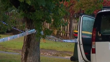Details emerge of man accused of triple domestic violence murder