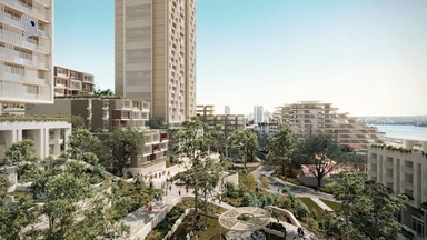 The vision for Woollahra