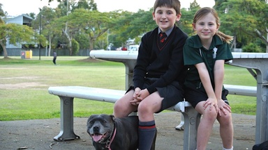 Why private schools are asking for your kids’ NAPLAN results