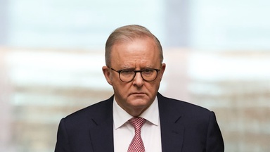 Australia news LIVE: Albanese vows to cut migration as One Nation leads in third poll; Xi Jinping lands in North Korea for meeting with Kim Jong-un