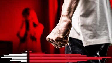 What 26 years of data says about the typical domestic violence killer
