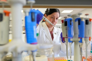 Tools to fight hantavirus show promise despite limited funding. Now researchers hope to continue