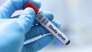 International Aid Cuts Complicate Congo's Ebola Epidemic