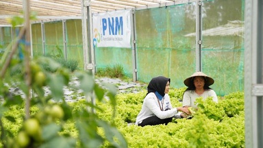 PNM Raih Empat Penghargaan di Indonesia Sustainability Award 2026