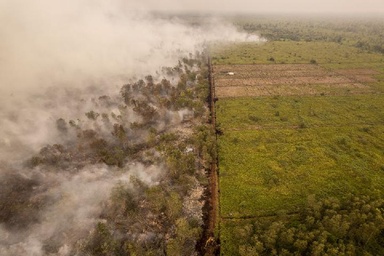 Indonesian Haze Pushes Singapore to World's Most Polluted City