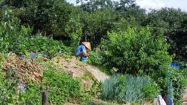 South Korea Steps Up Heat Protections for Foreign Seasonal Workers