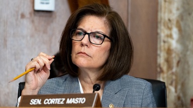 Letter signed by Democratic senators calls on ICE to halt electric shock gloves