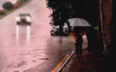 Thunderstorms and heavy rain forecast in eight states