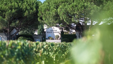 Wine 101: Haut Brion Part II: Wine, War, and Religion