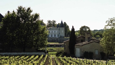 Wine 101: Château Lafite Rothschild III: Prince of the Vines