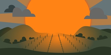 As Climate Change Shifts Harvest Earlier, Winemakers Face a New Set of Challenges Beyond the Vineyard