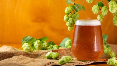 The Highest-Rated IPA in Every State (2026) [MAP]