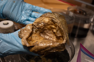 It’s Not Aliens: Scientists Reveal Origins of Underwater Orb