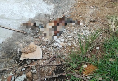 Mayat bayi satu tangan ditemukan dalam longkang