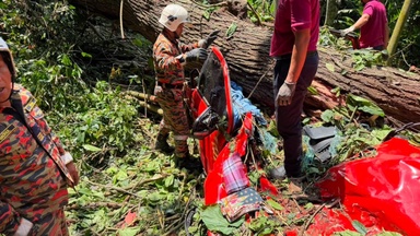 Four killed, child injured after tree crushes Ford Raptor in Bentong