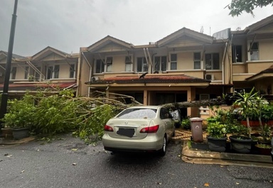 Fallen trees hit six vehicles in Selangor, no casualties reported