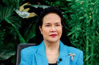 PAO execs praised for defending lawyers